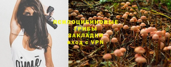 бутик Бородино